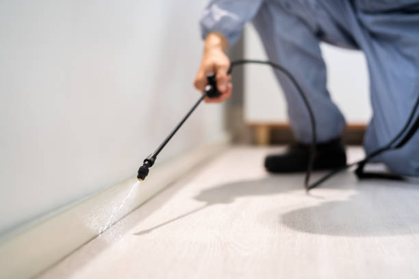 Licensed Termite Control service in Reston, VA - Show Me Pest Control