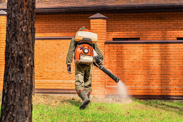 Top rated local Ant Control specialists in Reston, VA